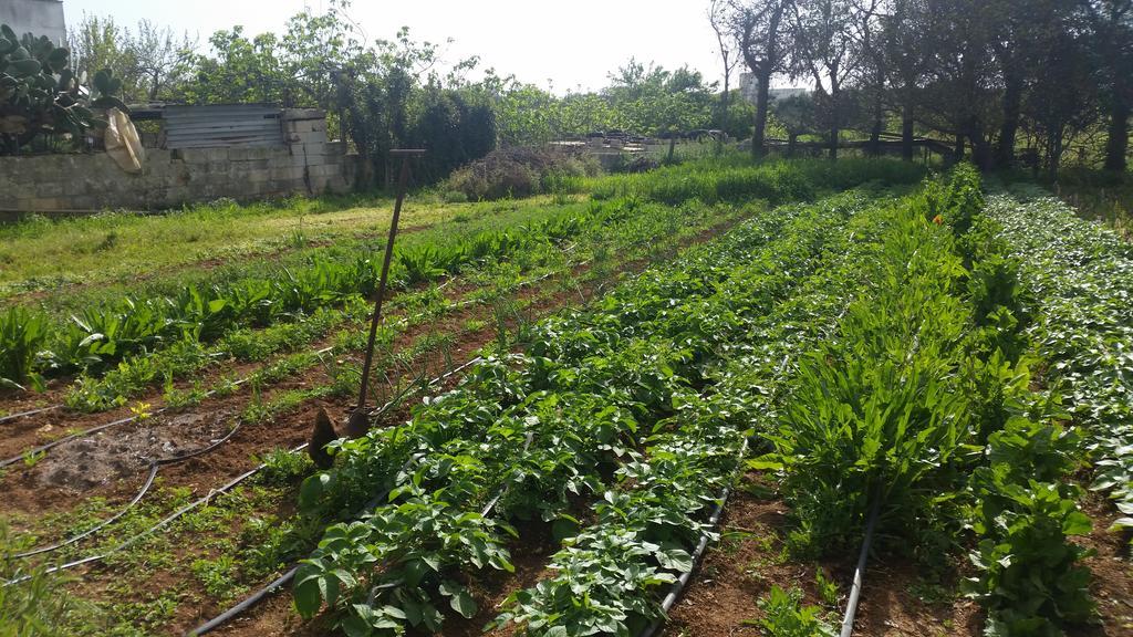 Appartamento Masseria Pesco Otranto Esterno foto